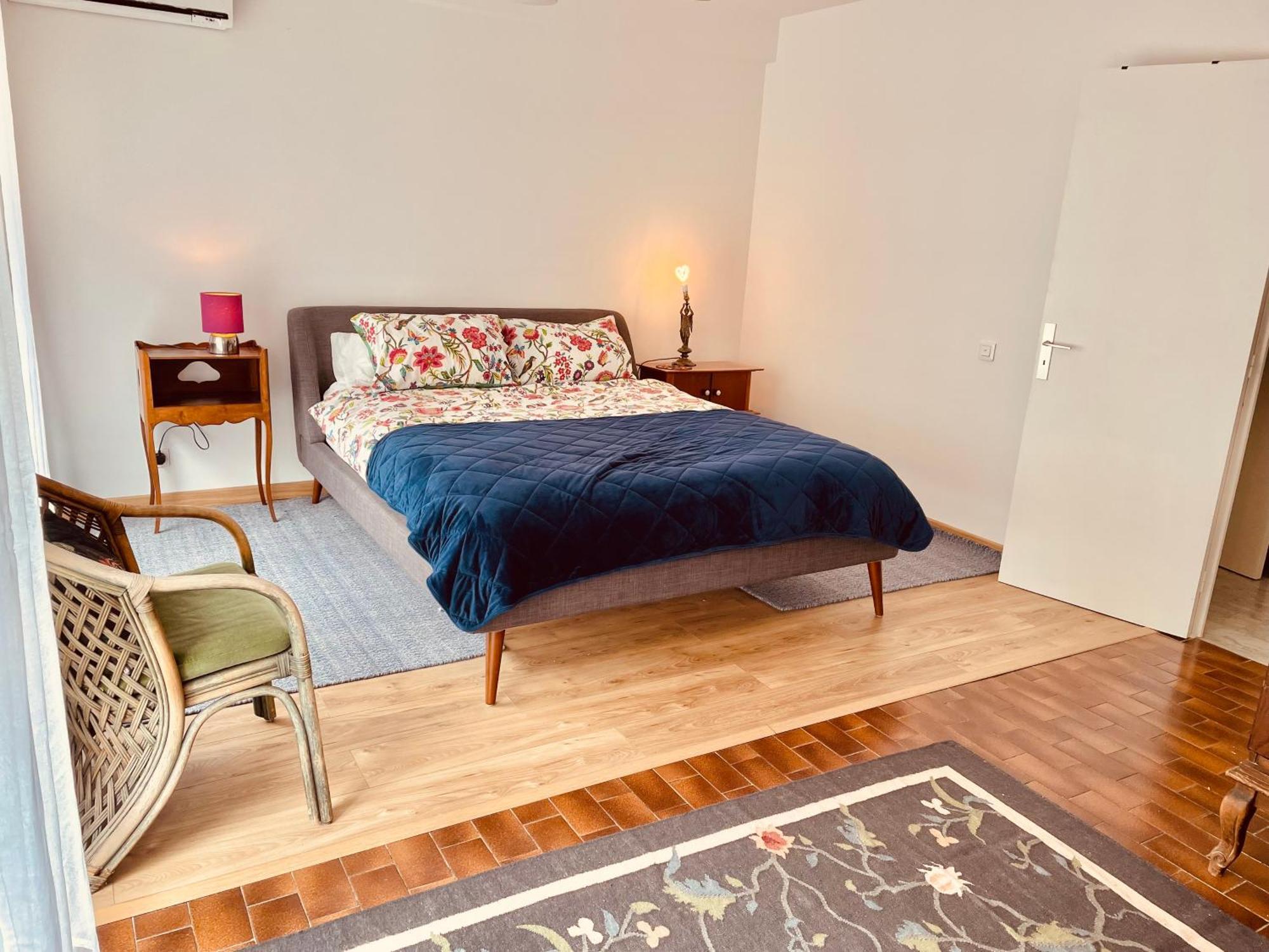 Elegant, Spacious, Central Nizza